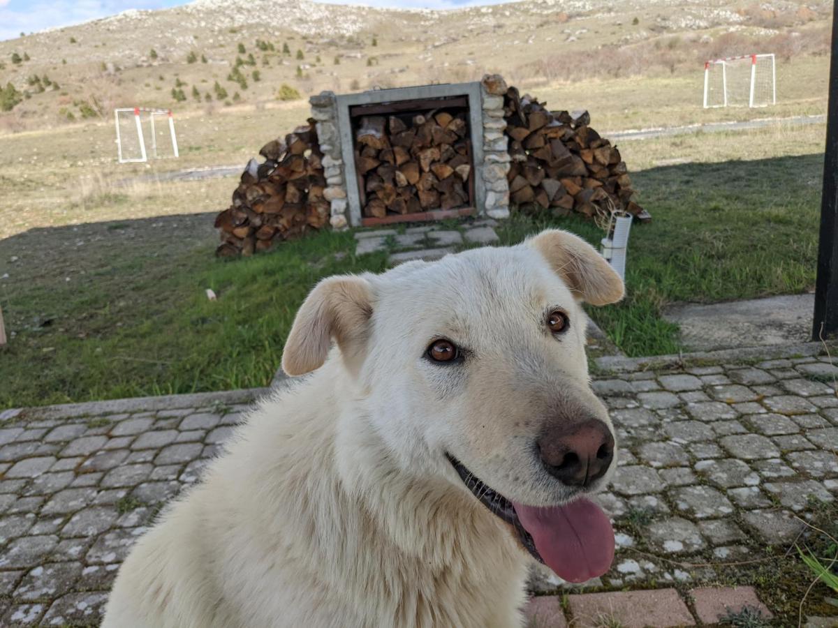 A Pousada Rifugio Silone Pescina Exterior foto